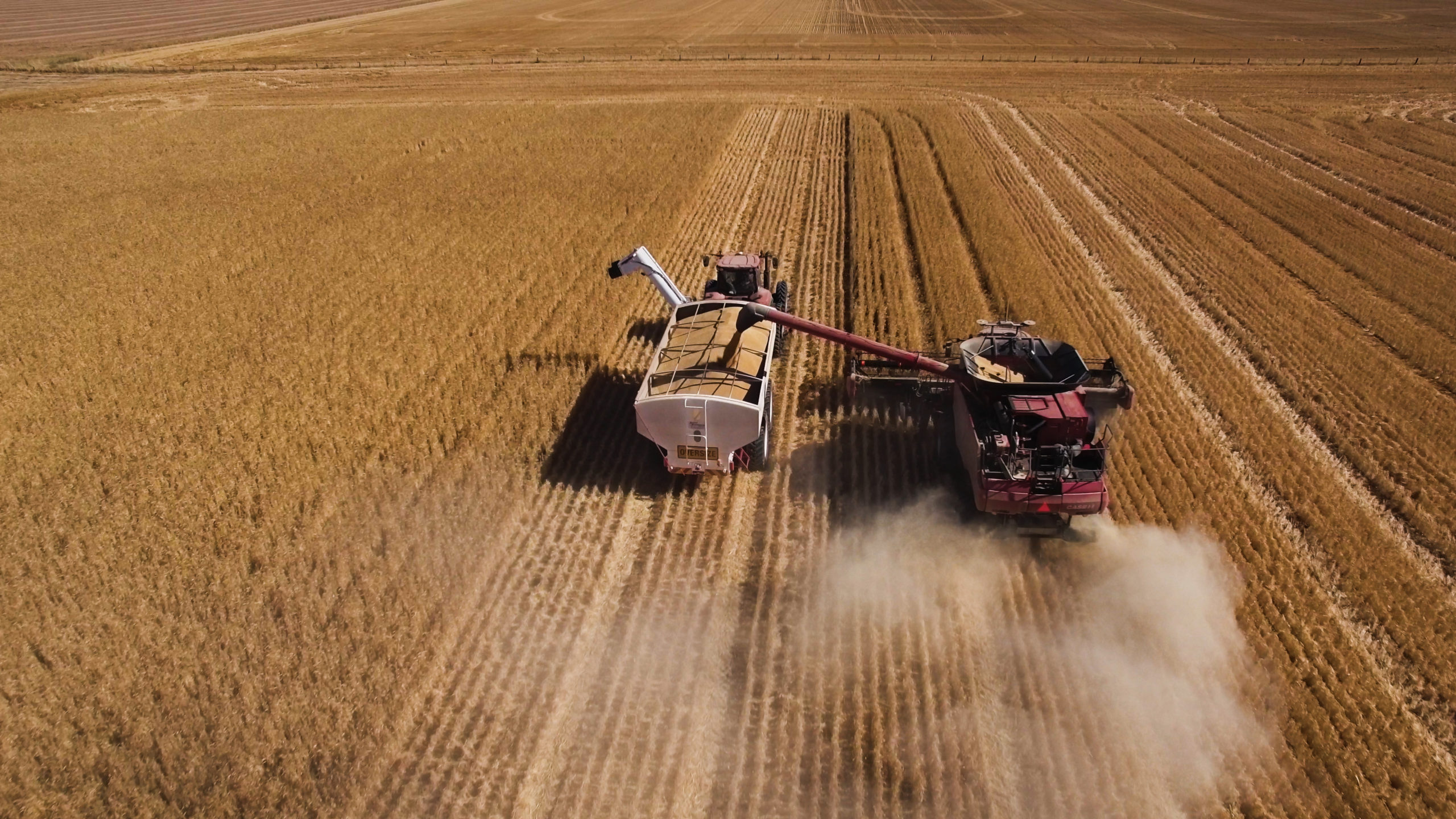 Drone shot behind harvester and support truck working a wheat field.